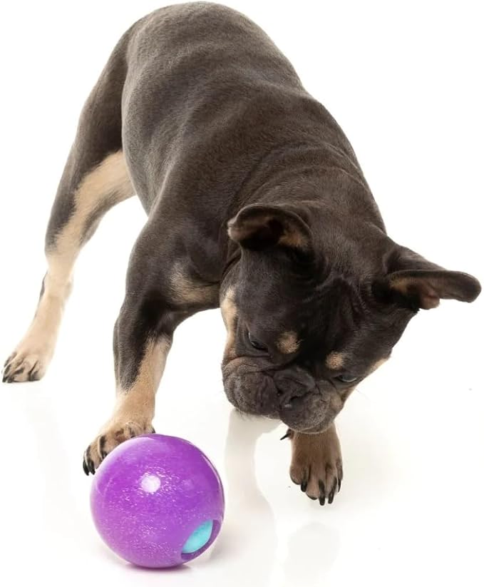 Fuzzyard Fortune Truth Tellin' Ball Dog Toy Premium Interactive Treat Dispenser Shake for Answer