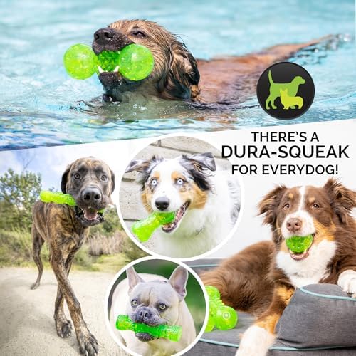 Hyper Pet Dura-Squeaks Stick Dog Toy, Large, Green, (Pack of 12)