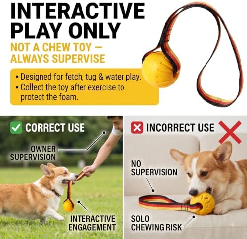 Small Dog Ball with Strap, Floating EVA Interactive Toy