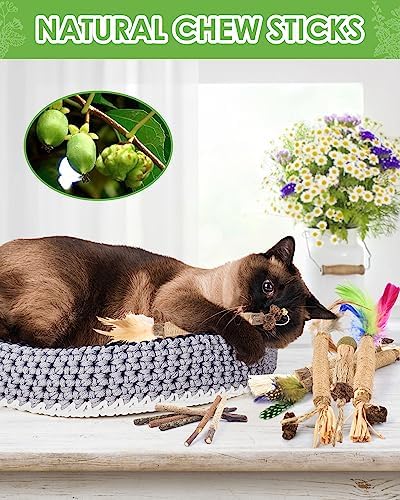 TINDTOP Silvervine Chew Sticks for Cats, 12 Pack Natural Catnip Chew Toys