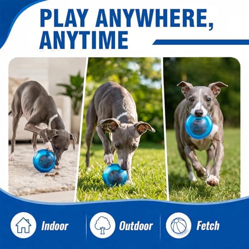 Guru Pet Ball - Medium Blue - Dog Toy, Hides & Dispenses Treats, Slow Feeding, Easy Loading, Durable Rubber, Roll-Bounce-Spin-Tumble-Solve-Play