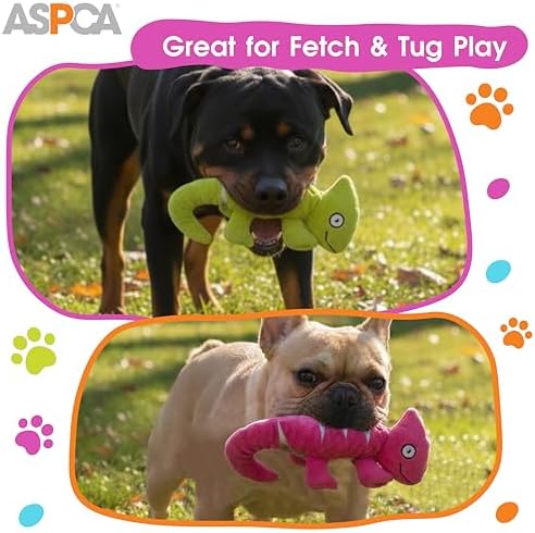 ASPCA Crinkle Chameleon Dog Toy – Squeaky, Stuffing-Free Plush with Crinkle Body for Interactive Play, Durable & Mess-Free Fun