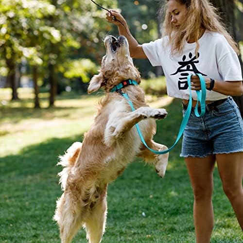 Reflective Dog Collar, Quick-Release Buckle (Light Blue, 14-18 Inch)