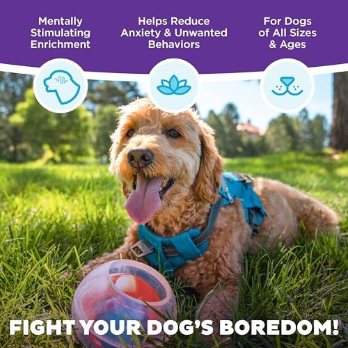 Outward Hound by Nina Ottosson Topsy Treat Ball Dog Puzzle, Level 1 Beginner, Orange