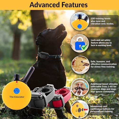 E-Collar Educator ET-402 Dog Training Collar, 2 Dog System, Yellow