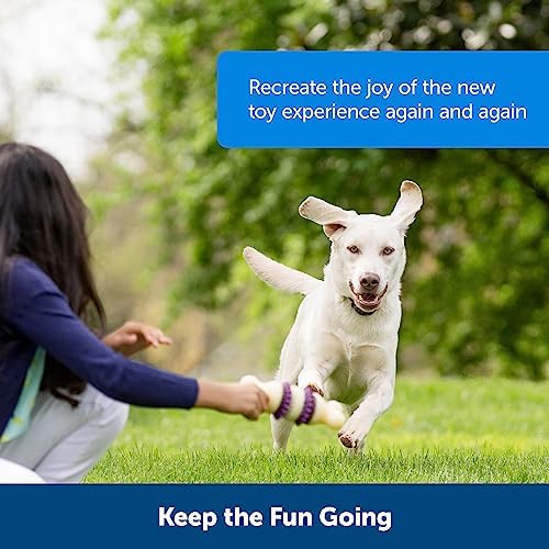PetSafe Busy Buddy Dog Treat Rings Variety Pack, Medium, Size B, 24 Count