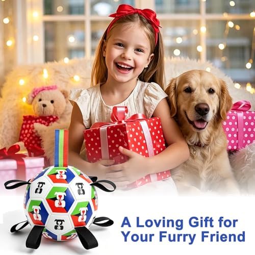Rensh Dog Soccer Ball with Straps 6 Inch, Interactive Dog Ball for 20-40 lb