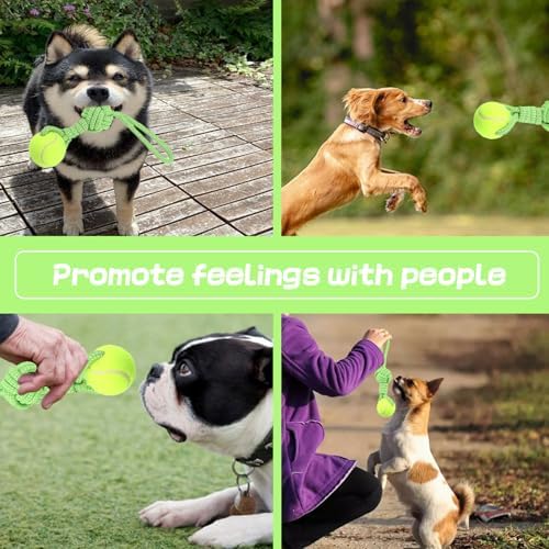 Dog Rope Toy Tug Outdoor Puppy Interactive Dog Toy 1 Knot with Tennis Ball