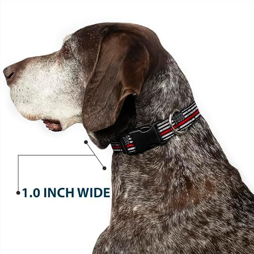 Buckle-Down Plastic Clip Dog Collar
