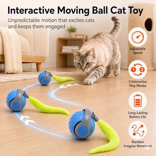 Interactive Rolling Cat Ball Toy, Automatic Moving Cat Toy with Detachable Plush Tail, Dual Speed & Dual Mode Rechargeable Indoor Kitten Exercise Toy（1.97In,0.09lb,Blue）