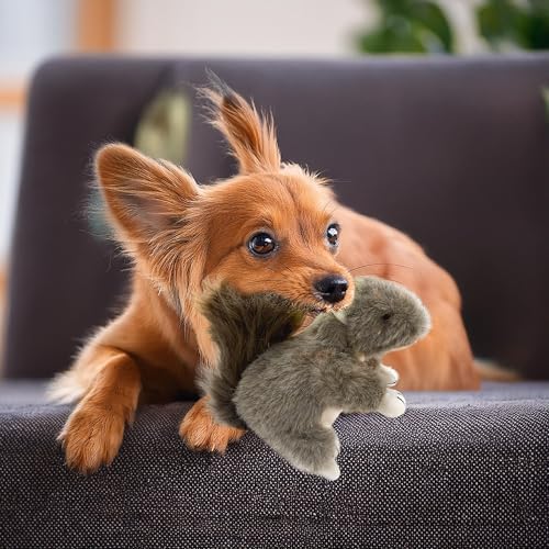 Vaulted Skulls & Co Squirrel Dog Toy w/Squeaker | Realistic Animal Plush Squirrels Dogs Toys | Stuffed Squeaky Squirrel Toy for Pets (2)