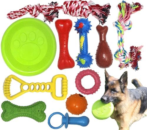 Jalousie Chew Toy Natural Rubber chew Toy for Interactive Play Toy Ball Rope Rubber Value Set for Small to Medium Breed Dog mutt Puppy