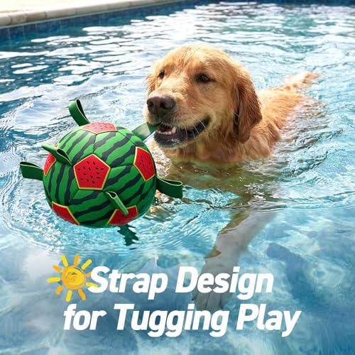 QDAN Dog Water Pool Toys: Dog Soccer Ball with Straps, Waterproof Dog Balls Swimming Beach Balls for Summer Outdoor Games (6 Inch)
