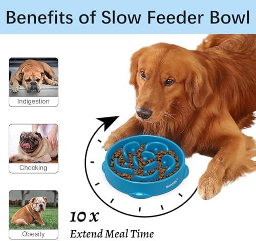 MateeyLife 2-Pack Slow Feeder Dog Bowls, 4 Cups, Dog Puzzle Feeder Bowl