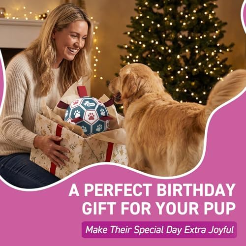 QDAN Large Dog Soccer Ball with Straps, 9 Inch Big Balls for >90 lbs Dogs
