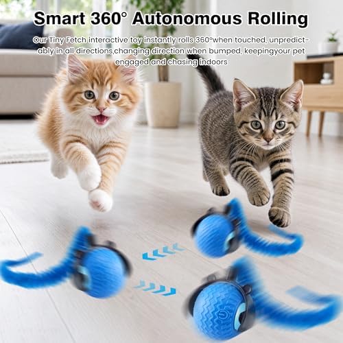 ZUAMEGUCat Toys for Indoor Cats - Interactive Rolling Ball