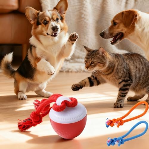 Interactive Dog Ball Toy with Birdsong & Rope, Automatic Moving Dog Toy