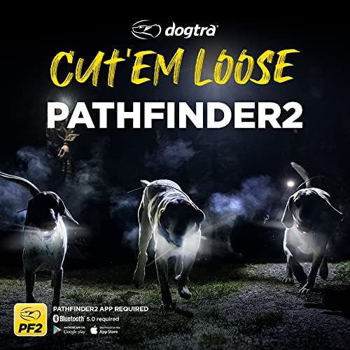 Dogtra Pathfinder 2 GPS Tracker e Collar + Titanium Contact Points 1" | 9 Mile, LED Light, No Monthly Fees, Waterproof, Smartwatch Control, Satellite Tracking, Multiple Dogs, Smartphone Required