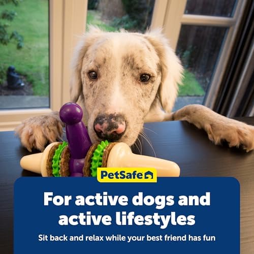PetSafe Busy Buddy Jack - Treat Holding Dog Chew Toys - Helps Clean Teeth - Vanilla Scented Rubber for Strong Chewers - Treat Refills Included - Interactive Dog Toy Keeps Dogs Busy - Purple, Medium