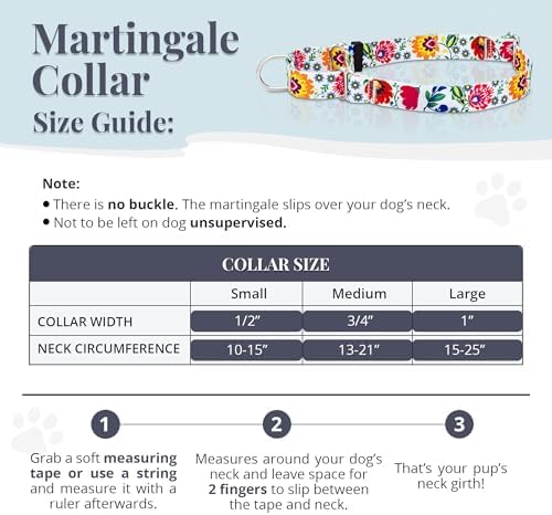 Lucky Love Dog Martingale Collar for Small Dogs No Slip – Ladybird, Small