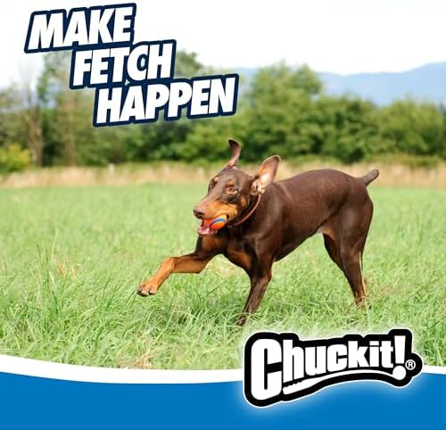Chuckit! Ultra Ball Dog Fetch Toy, Large 3in, for 60-100lbs Dogs, Floats