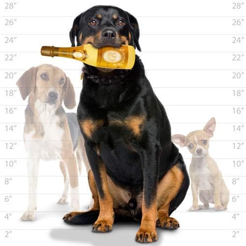 SILLY SQUEAKERS Tuffy Beer Liquor Wine Bottle Dog Toys: Squeaky Dog Toy, Washable and Floats, Vinyl
