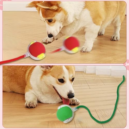 New Interactive Rolling Dog Ball, Interactive Cat Toys for Indoor Cats, 360° Smart Cat Toys Ball for Small Medium Cats Dogs, Red 1pcs
