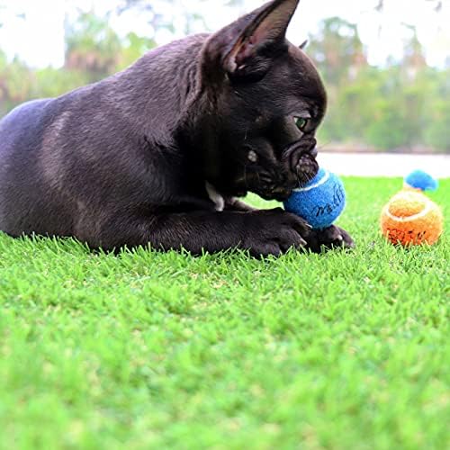 Midlee Mini 1.5" Dog Tennis Balls with Squeaker, Set of 12