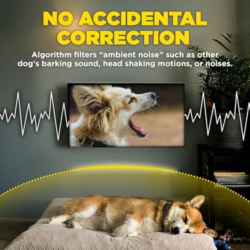 Dogtra Smart NOBARK with Titanium Contact 1" | Smart Bark Detection for Whining & Barking, 33 ft Range, App Notifications, Behavior Report, Waterproof, 10 lbs+, Ideal for Long-Haired Dogs
