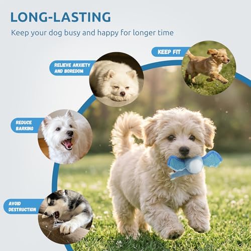 Interactive Dog Squeaky Toys, Indestructible Chew Toys Built-in Vanilla Ice Cream Flavored Ball, Puppy Plush Toys for Small Medium Chewers to Keep Them Busy - Blue Bat