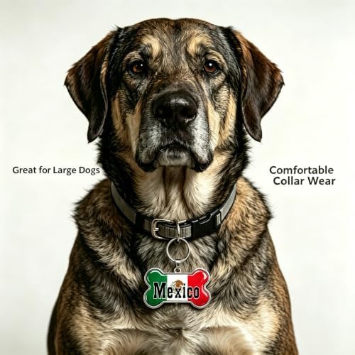 HSIAHOU Custom Pet ID Tags, Personalized Dog Tag Cat Tag (Mexico Flag)