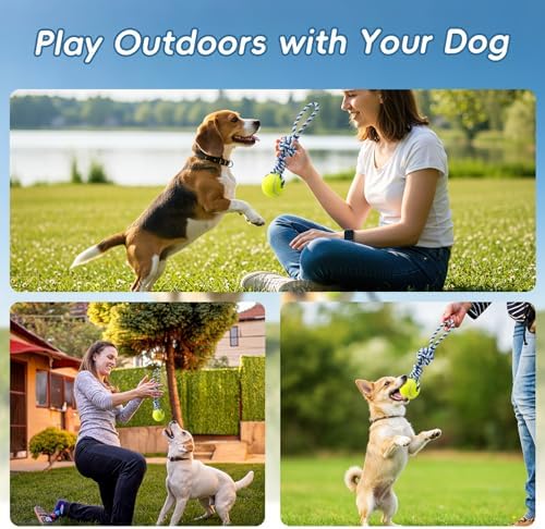 Interactive Tug of War Rope Toy Outdoor Dog Toy with 1 Knot & Tennis Ball