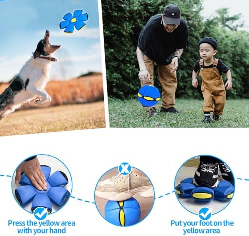 2PCS Magic Bouncing Ball, Magic Meta - Balls for Dog, Children Bouncing Ball, Flying Saucer Bouncy Balls, Parent-Child Interaction, Dual Form Freely Switchable, Doggy Disc with 3 Light Green and Blue