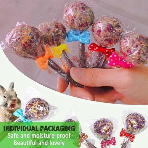 kathson 16PCS Rabbit Timothy Hay Treats Sticks,Interactive Bunny Lollipop Chew Sticks,Natural Guinea Pigs Chewing Treats Molar Teeth Toys for Small Animals,Chinchilla,Hamster,Gerbil