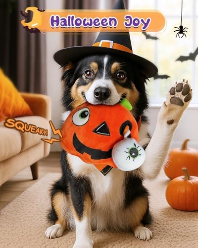 Swooflia Halloween Tug of War Dog Toy-Squeaky Plush Toy with Rope for Medium Large Breed Dogs to Keep Them Busy, Cute Pumpkin Interactive Doggie Toys