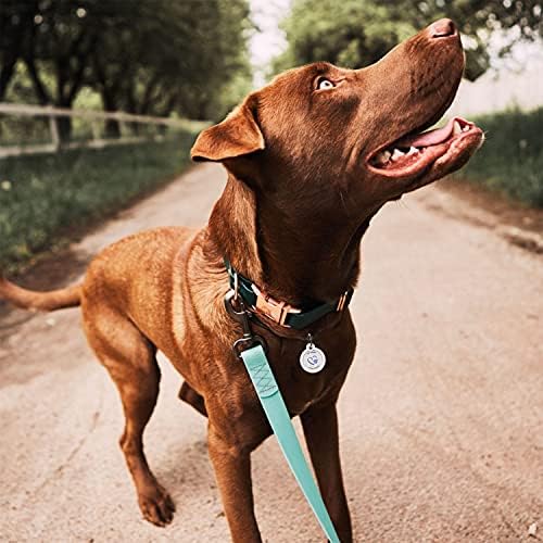 QR Code Dog Tag Personalized Pet Id Silent Cat Tags Engraved Name Plate with Online Profile («Together Forever»)