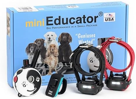 E-Collar Educator ZEN-302 Dog Training Collar with Remote, 2 Dogs