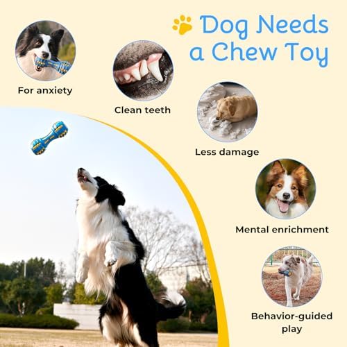 Ruffoo GnawBell Dog Squeak Toy for Interactive Play, Dual-Color Design Chew Toy for Dogs, Durable Natural Rubber Dog Toy for Medium & Large Breeds