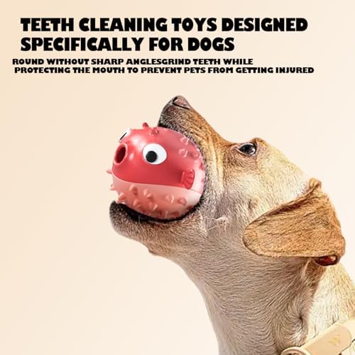 Dog Balls with Bell Sound, Interactive Dog Toys,Treat Dispensing Dog Toys, cat Toys Balls，Rubber Elastic Ball Toys for Small Medium Large Cat and Small Dogs (Red)