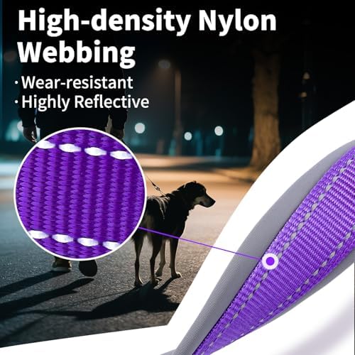 Segarty Reflective Medium Dog Collar, Adjustable Wide Soft Comfortable Breathable Neoprene Padded Nylon Collar with Heavy Duty Metal Buckle for Medium Small Breeds (M, Purple)