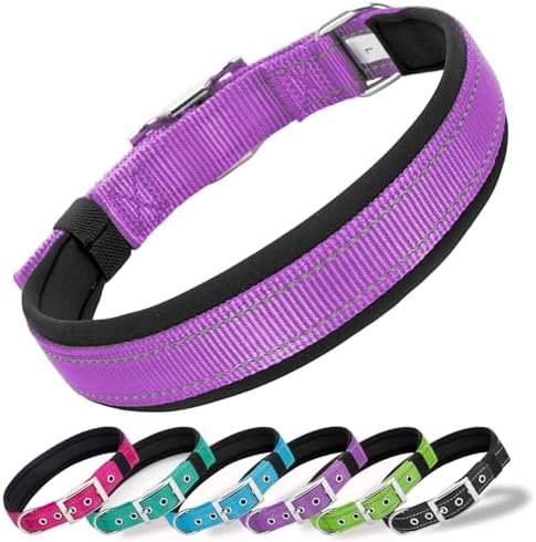 Reflective Dog Collar for Medium Dogs Wide Padding 6 Holes Adjusta
