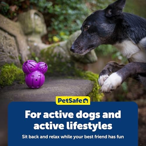 PetSafe Busy Buddy Barnacle Treat Dispensing Dog Toy, Large | 3 Treat Meter Prongs Randomly Dispense Kibble, Bone-Shaped Grooves Hold Spreadable Treats Like Peanut Butter
