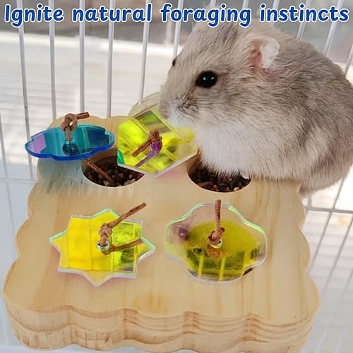 Treat Dispenser Rat Foraging Toy, Rat Enrichment Toys, Interactive Hide Treats Enrichment Toys for Rats Small Animals, Hanging Slow Feeder, Hamster Toy, Guinea Pig Accessories (M, Wood)