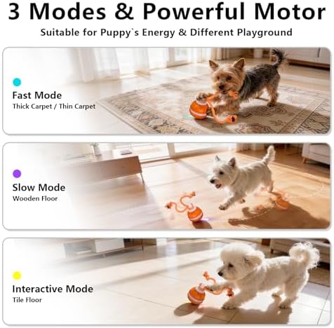 Interactive Dog Toys Ball, 3 Modes & Powerful Motor, Random Movement & Swinging Rope, Bird Chirping Stimulate, USB C Rechargeable for Small Medium Dogs for Boredom, Anxiety Relief