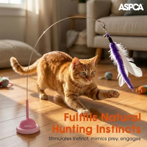 ASPCA Suction Cup Cat Toy Interactive Wand, Self Play Cat Toy for Indoor Cats, Attaches to Smooth Surfaces, Teaser Wand for Chasing, Batting & Enrichment, Pink