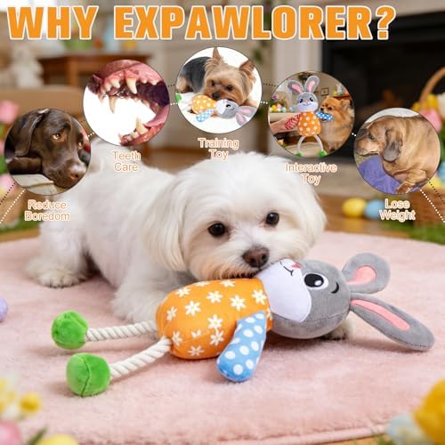 EXPAWLORER Dog Easter Toy, Easter Bunny Rabbit Squeaky Interactive Toys with Squeakers & Soft Durable Fabric to Keep Them Busy, Best Gift for Puppy Small Medium Large Dogs Training Rope Toy