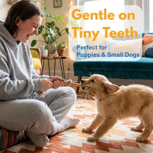 Dog Rope Toys for Small Dogs, 3 Pcs Puppy Teething & Natural Hemp Rope Toys