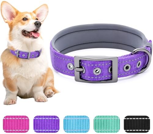 Segarty Reflective Medium Dog Collar, Adjustable Wide Soft Comfortable Breathable Neoprene Padded Nylon Collar with Heavy Duty Metal Buckle for Medium Small Breeds (M, Purple)