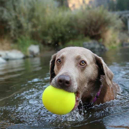 Ruff Dawg Indestructible Dawg-X XL – Heavy-Duty Solid Rubber Fetch Toy for Dogs 40 lbs & Up – Crazy Bounce & Floats – Made in USA – Assorted Neon Colors