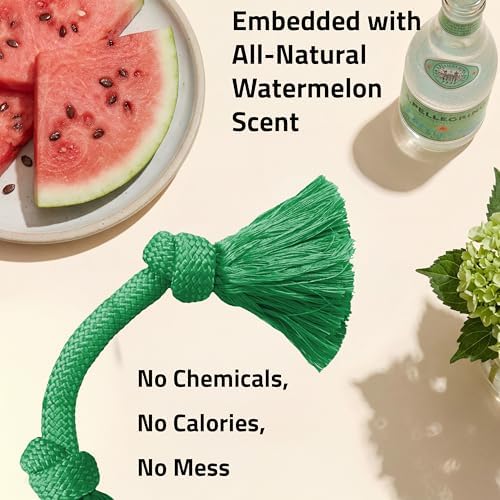 Playology Tug Rope Dog Toys for Small Breed Dogs - Small, Watermelon Scent